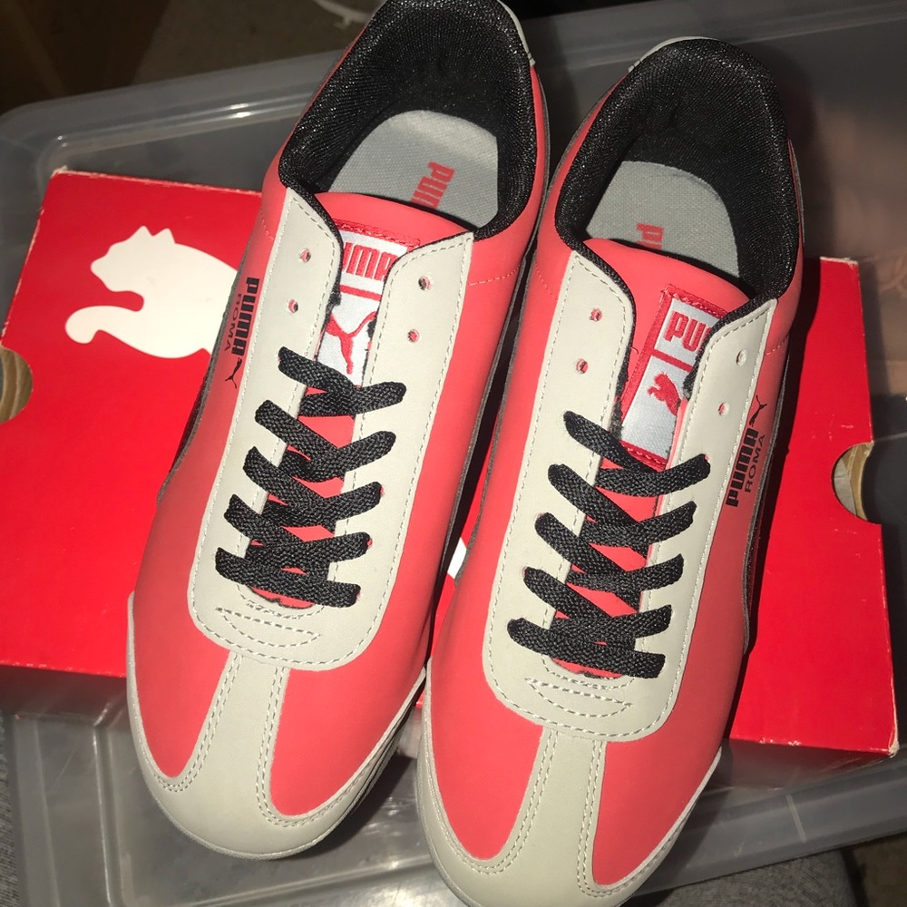 Red-Black-Limestone Gray Puma